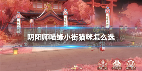 阴阳师再结前缘喵缘小街